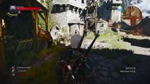 The Witcher 3: Wild Hunt- Funny Roach 3