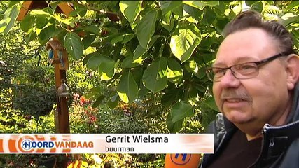 Twee meter lange wurgslang kruipt rond in Noordbroek - RTV Noord