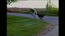 Dog Steals Hose and Sprays Owner