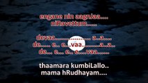 Thamara Kumbilallo Mama Hrudhayam - Malayalam Karaoke with synced lyrics
