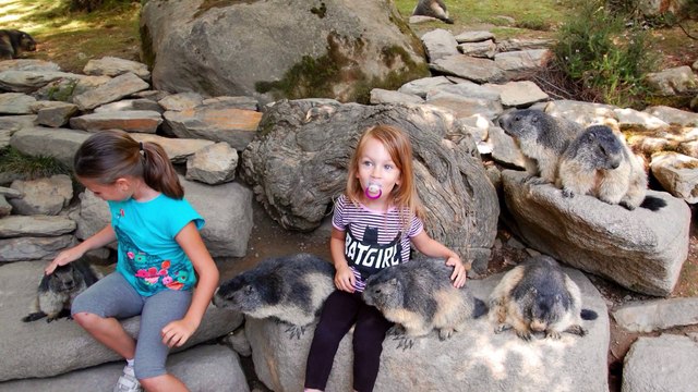 Parc des Pyrénées