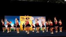 National Cheerleading 2010 Guest Performance