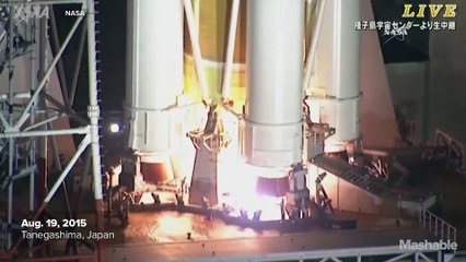 Mice, food and science to arrive at Space Station