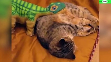 Top 10 de los robots más increíbles del mundo