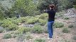 My Wife & her Walther P22 vs. beer can, My Wife and her P22