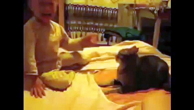 Epic Baby Slaps Cat, Baby Gets Owned by Cat (Voice Over)