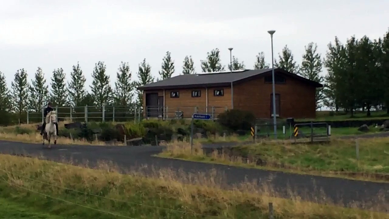 "He likes to move it, move it, move it "  :)