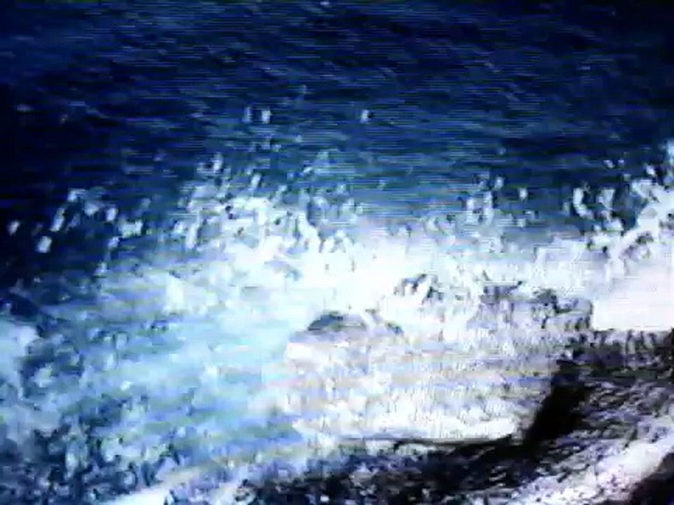 The Killer Whale Namu