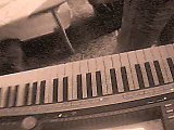 Alice Deejay - Back in my life (cover-yamaha-PSR-640)