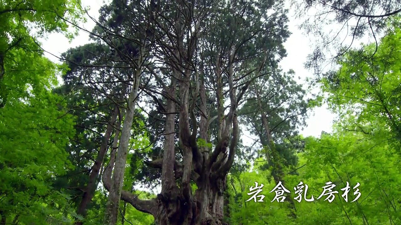 「島根には本物がある。」隠岐編