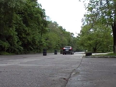 Ford Focus 2.0 Duratec Engine Sound