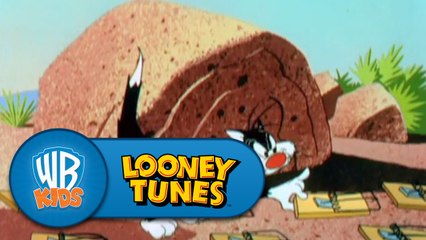 Looney Tunes: Mouse Traps