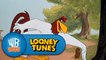 Looney Tunes: Look It Here