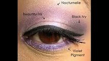 How to Apply Eyeshadow for Beginners - Simple Tutorial