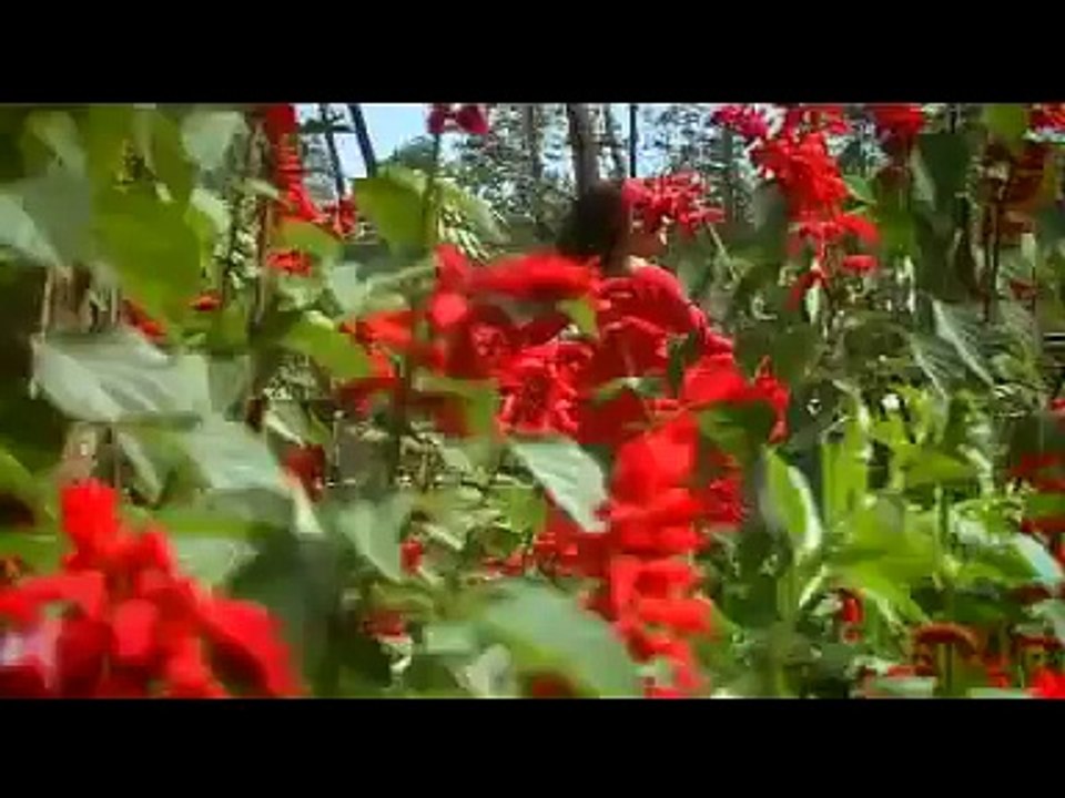 bangla song sajjad nur 3