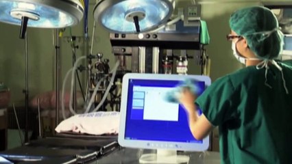 Programmers are wizards of the future