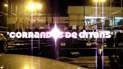 Esbart Dansaire "Terra Nostra" - Corrande de Gitans (1er Lugar) editado