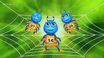 Itsy Bitsy Spider Nursery Rhyme With Lyrics   Cartoon Animation Rhymes & Songs for Children