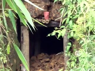 "Mempertaruhkan Nyawa dibawah Bumi"