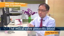 Leaky Heart Valves - Causes, Symptoms & Treatments