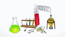 Der Nachweis von Proteinen | Chemie | Organische Verbindungen – Eigenschaften und Reaktionen