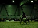 Feu sur chevaux au galop