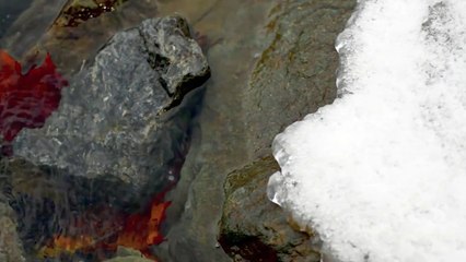 The Shenandoah River on the Appalachian Trail
