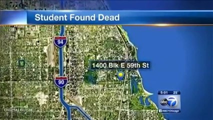 (WLS Chicago) ABC 7 Eyewitness News at 5 Montage - Sunday F