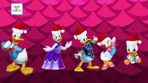 Donald Duck Finger Family Nursery Rhyme HD | Donald Duck Family Cartoon Animation Songs For Children