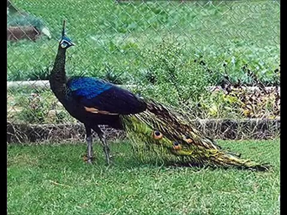 ||Dj Nonstop Lagangeet 2015 ||Kinjal Dave ||Rakesh Barot || Lagna Geet