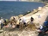 رزق الصيادين-صيد السمك بالاسكندرية