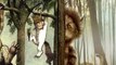 Where the Wild Things Are - What’s the Difference?