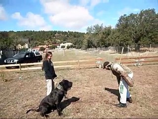Bandog Korso de PPB training OCTUBRE REGLAMENTO