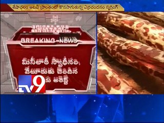 15 Crores worth Red sanders seized in Chittoor