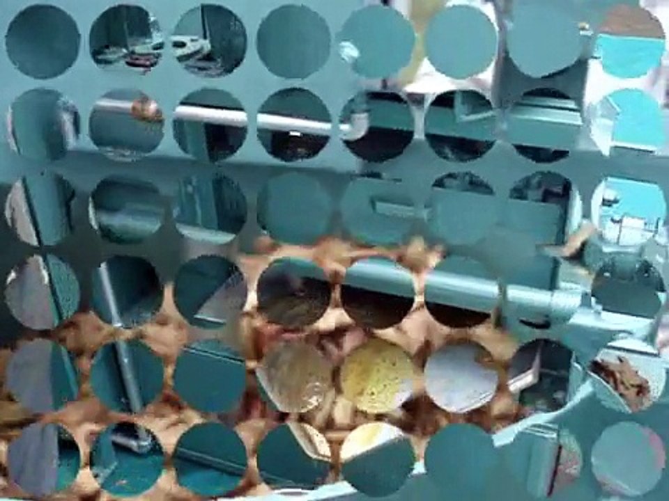 rajkumar expeller,oil press,mini expeller,tiny oil expeller,oil extraction