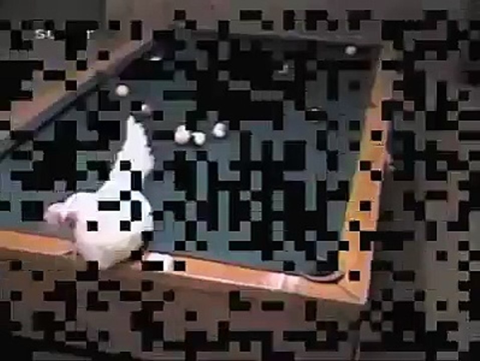 hen play this game
