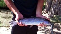 Extreme River Trout Fishing - Eastern Sierra Trout Fishing 2014