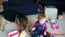 Babies Laughing at Dogs Funny Videos