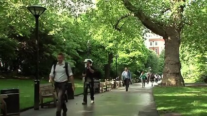 Rod Liddle's got issues: For fox sake