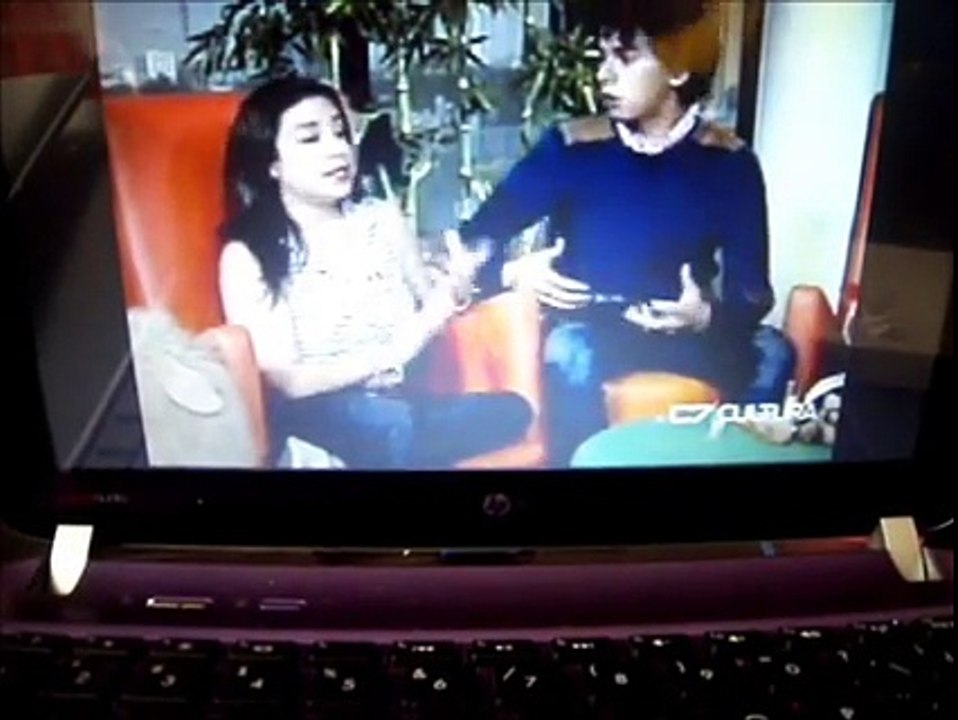 yorkshire mascotas, 2 cuidados para mascotas  yorkysweet presente en CANAL EDUCATIVO C.7