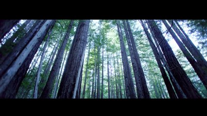 Steve Aoki feat. Fall Out Boy - Back To Earth (Official Video)