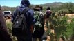 Deportados salvadoreños regresan desde México