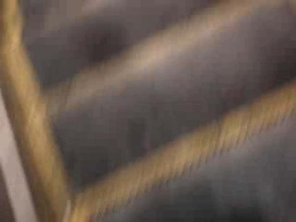 MOV01420