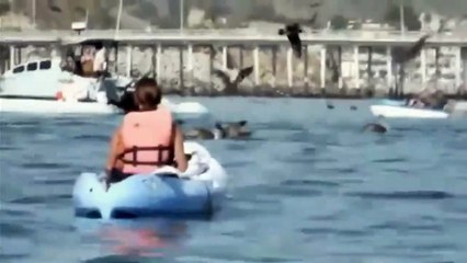 GIANT WHALE SCARES 2 KAYAKERS BY APPEARING FROM NOWHERE A FEW FEET AWAY