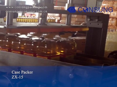 Automatic drop type carton filler,case packing machine,case packer