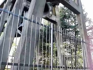 Entdecken Sie den Glockenstuhl der Schloßkirche Berlin-Buch 🕍