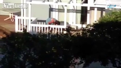 Hayvan barınağında hayvanlara eziyet