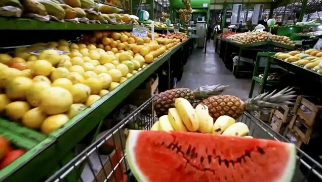 NGC Zihin Oyunlari Sen Karar Ver 1080p H263