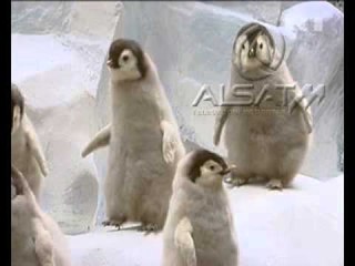 Moskë, hapet ekspozita e botës së egër