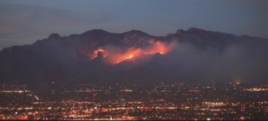 Cinq incendies qui ravagent les États-Unis depuis le début de l'été